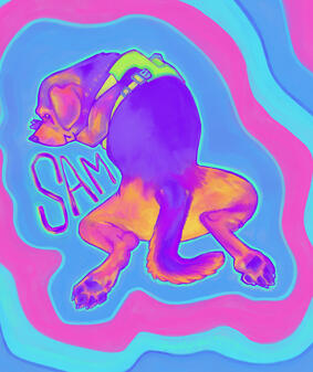 Sam Beagle