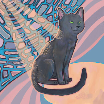 Gray Cat Nico